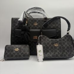 3 Set Coach Purse 