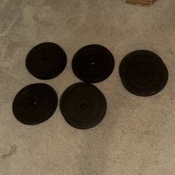 10 Lbs Weight Plates 
