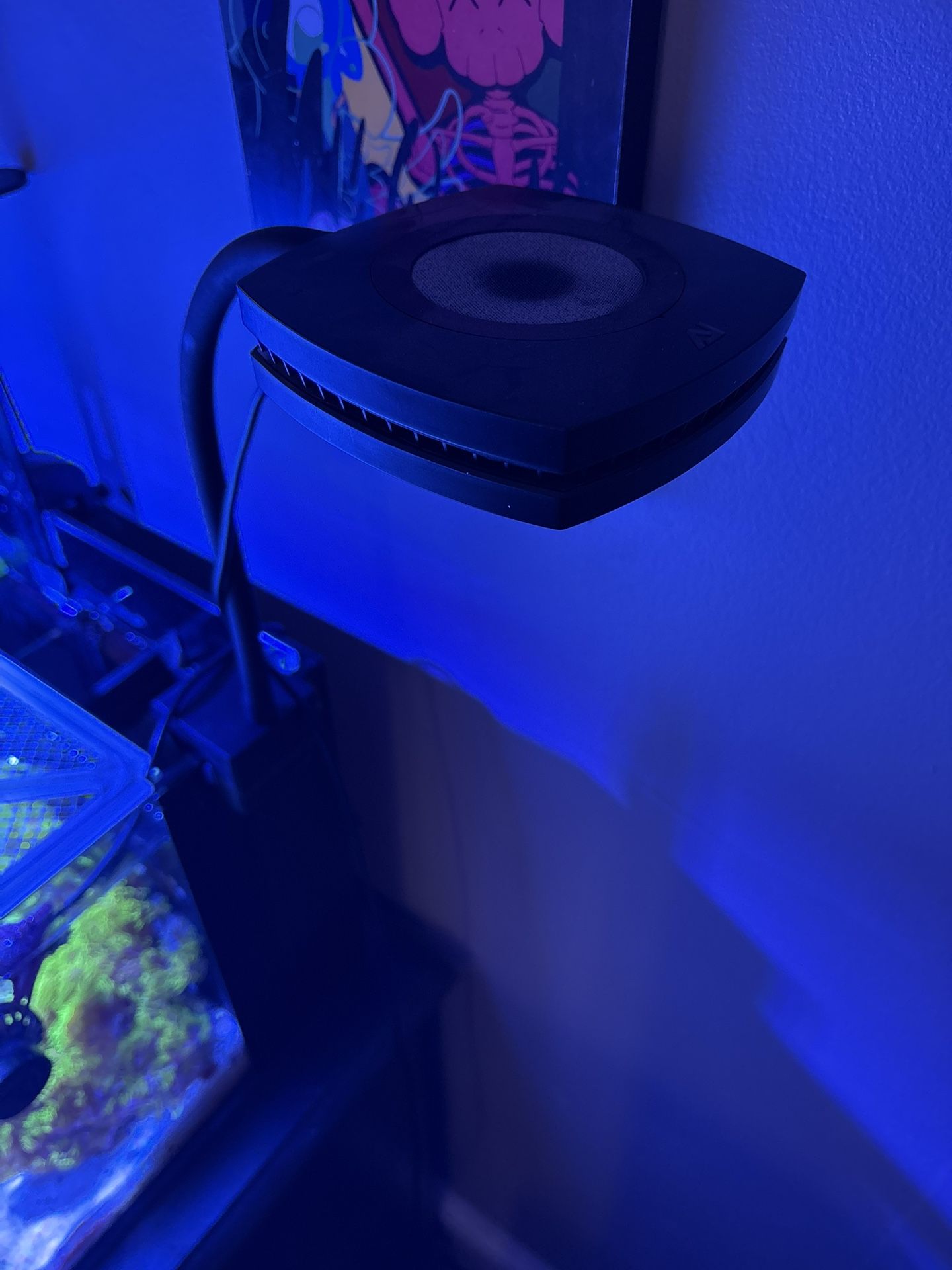 Ai Prime Reef Light