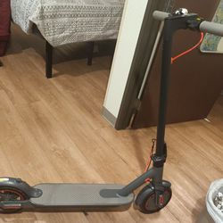 Brand New Adult Electric Scooter 