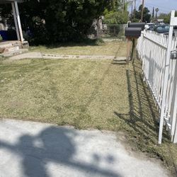 Affordable Lawn Clean Up 