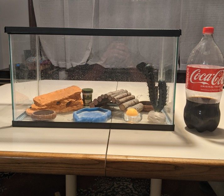 Reptile Terrarium With Accessories