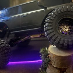 Traxxas TRX4m Bronco
