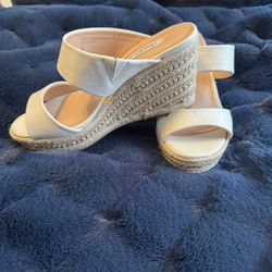 Charles David White Wedge 