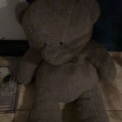 20 Inch Teddy Bear