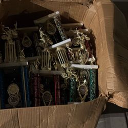 Trophies 