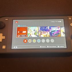 Nintendo Switch Lite 