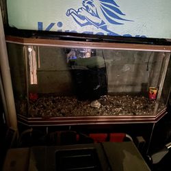 55 gallon fish tank