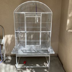 Bird Cage 