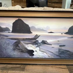 32”X56” Picture Frame Art 