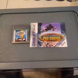 Gameboy Color Tony Hawks 