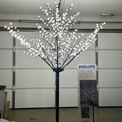 Japanese Maple LED ‘Christmas”