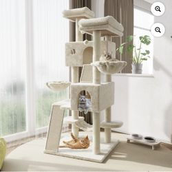 Cat Tree 