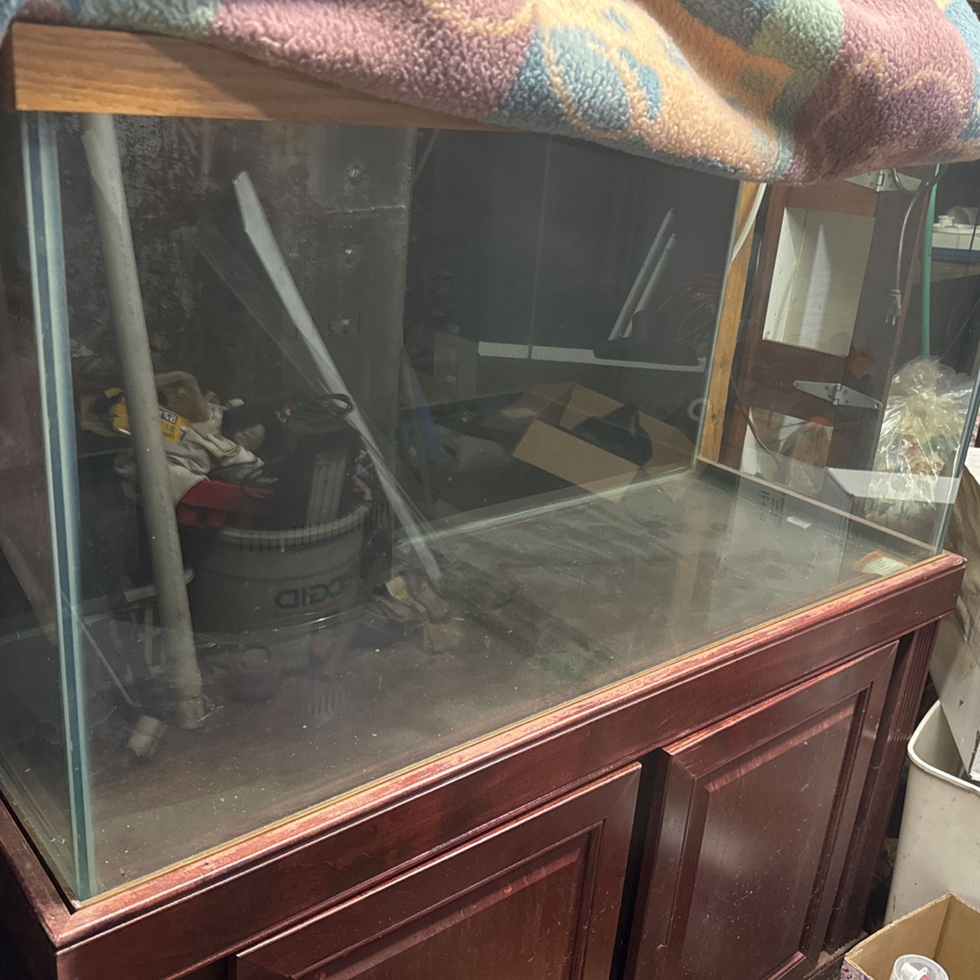 Aquarium For $100