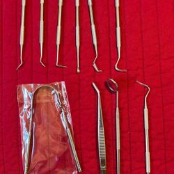 Dental Care Tool Kit W/Storage Case