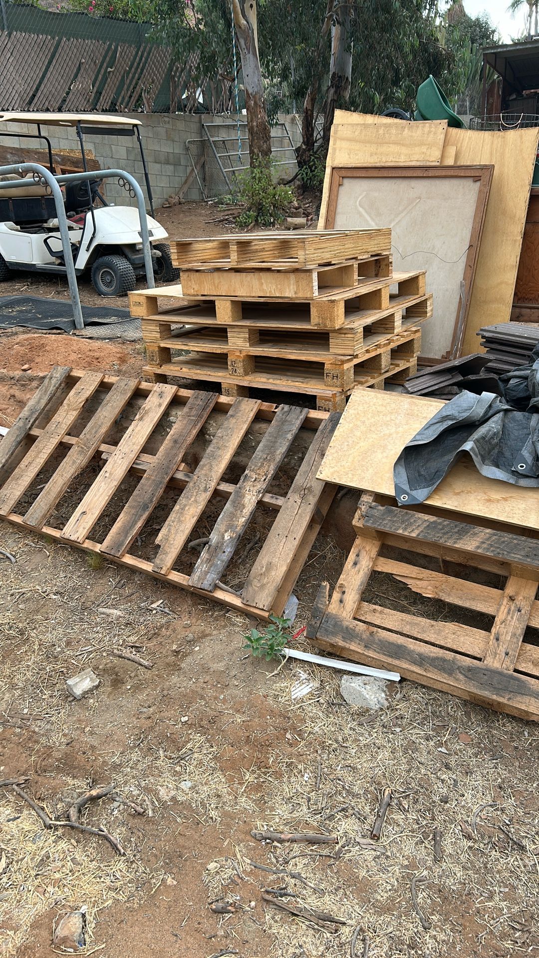 Wood Pallets