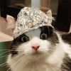 Tin Foil Cat