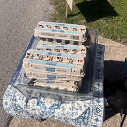 Fresh Organic Chicken Eggs