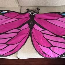 Childs Butterfly Wings Costume Dress Up one size fits most Just $5 