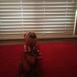 Scooby Doo Christmas Doll 