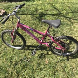 Girl 20” 6 Speed Bike