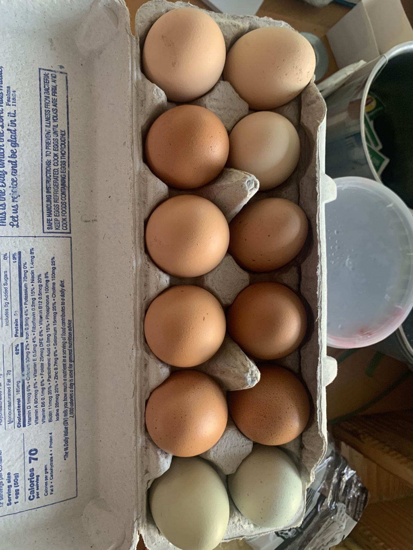Fresh Eggs