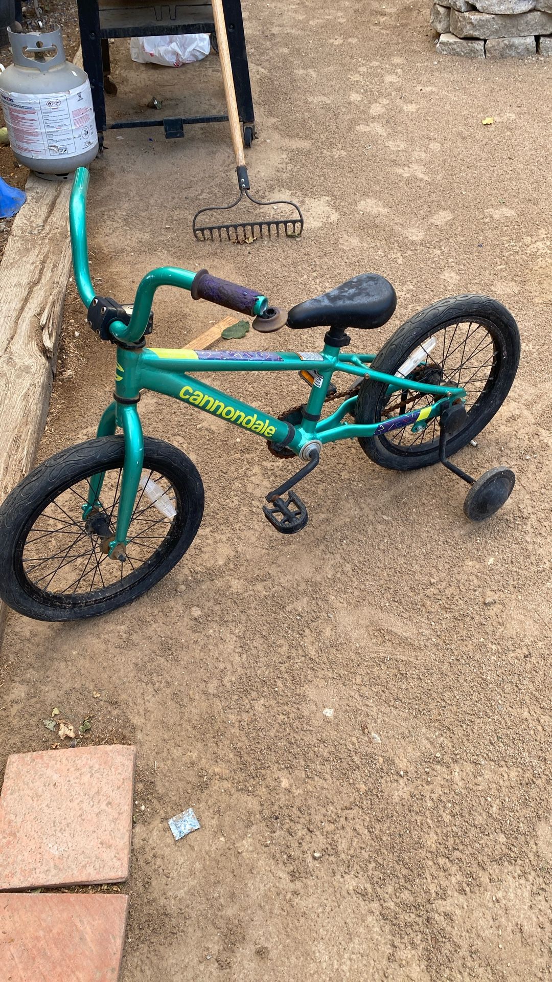 Cannondale Kids Bike With Training Wheels