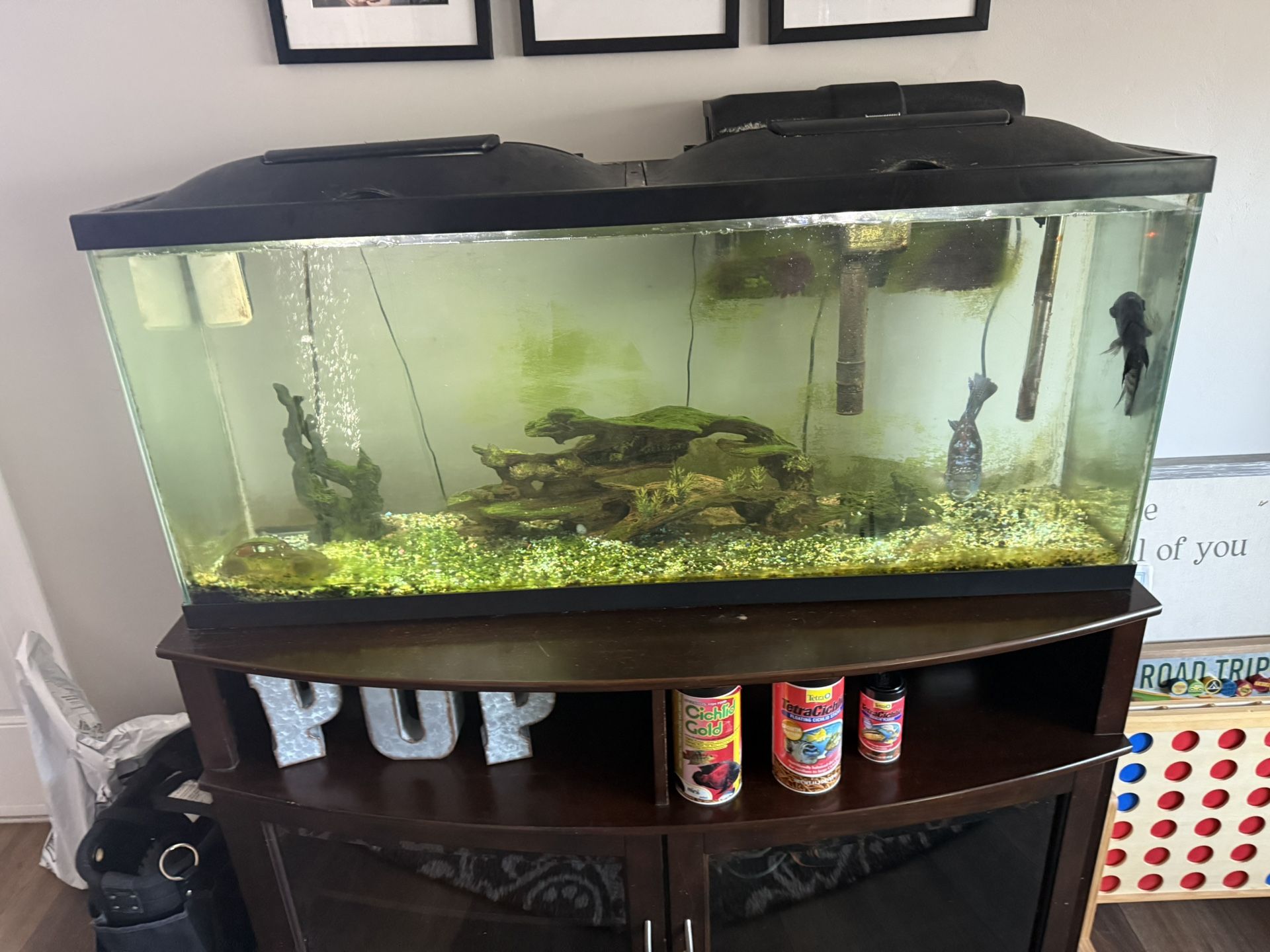 Complete Fish Tank