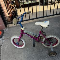 Girls Toddler Bike With Training Wheels