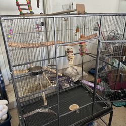 Big Bird Flight Cage