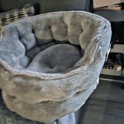 Small Bet For Small Dog 