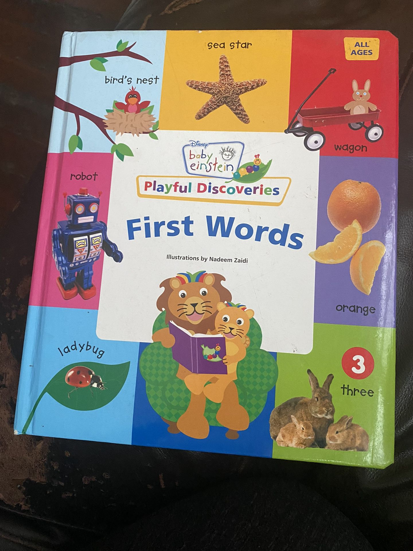 Baby Einstein Playful Discovery First Words Book 