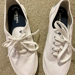 Sperry White With Blue Detail Sneakers 