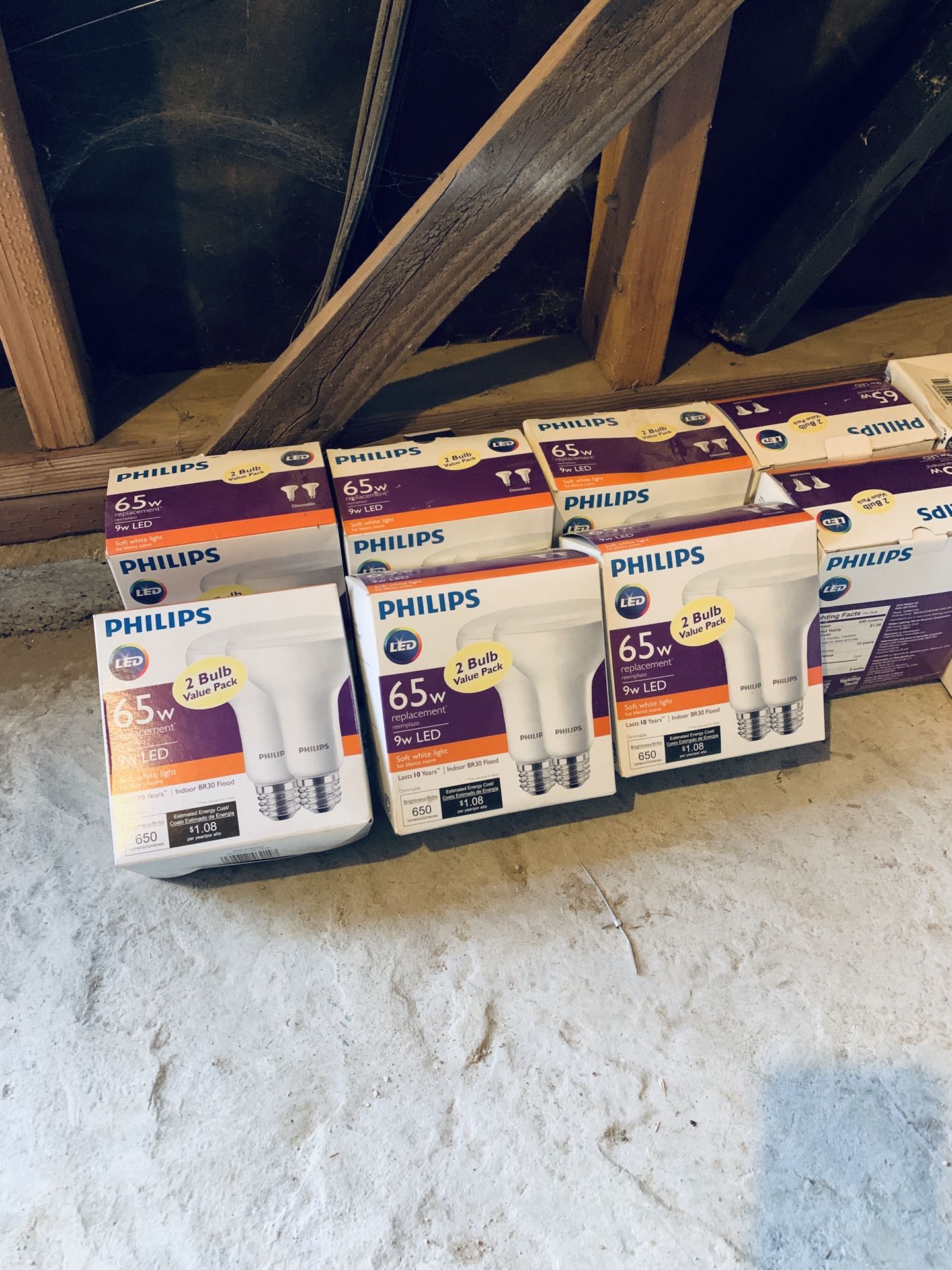 Philips65 watt flood light