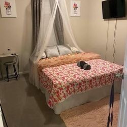 Bed Frame And Queen Memory Foam Matress