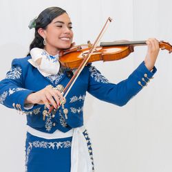 Classes de Violin/Violin Lessons