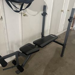 Workout Bench and 15lb Weights