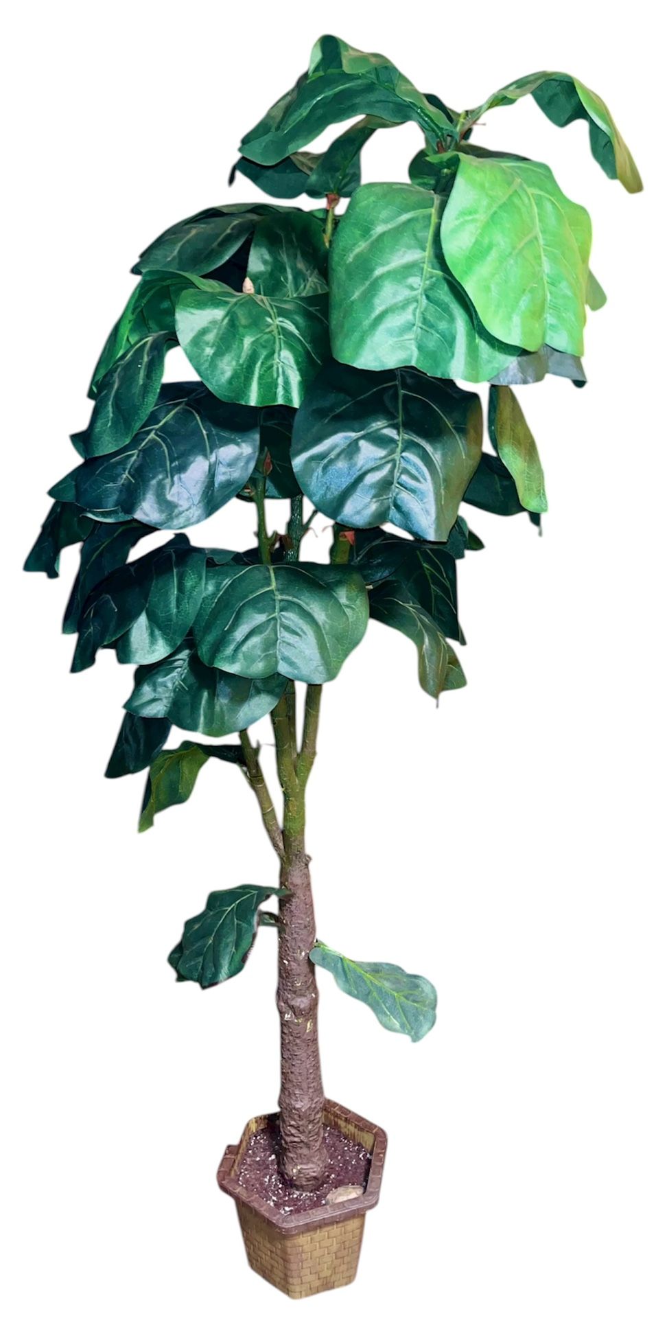 7’ Faux Fiddle Leaf Fig Tree