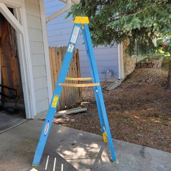 Werner 6' Ladder