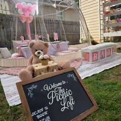 Luxury Baby Girl Shower Picnic Setup 💕 (Up to 8 Guests)