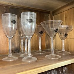 Polycarbonate Unbreakable Plastic Stemware – Martini & Champagne Glasses