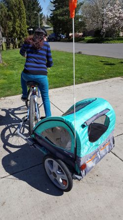 Instep Robin Two Seat Portable Bike Trailer for Children or Pets