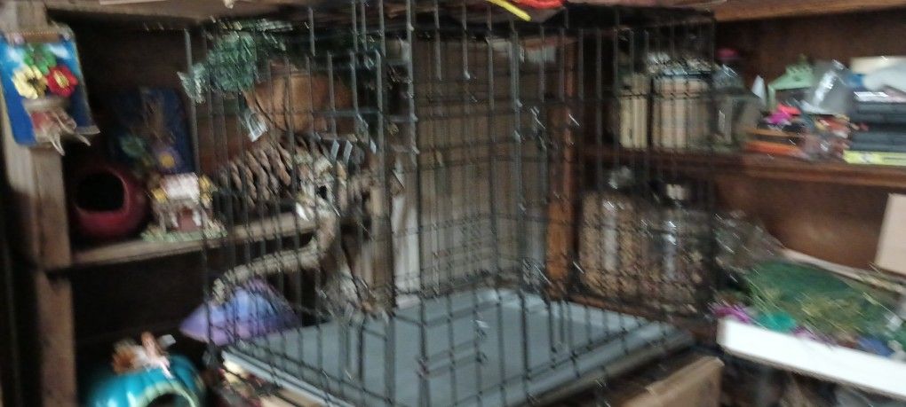 Med Dog Crate