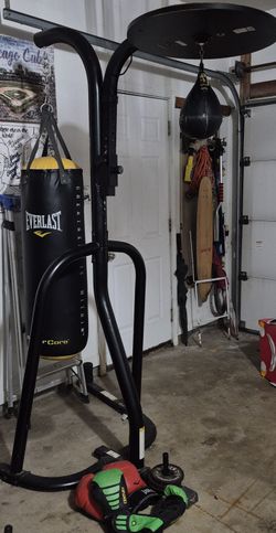 Everlast Punching Bag Set