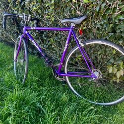 vintage Fuji Ace road bicycle &. Giant Option hybrid bicycle-