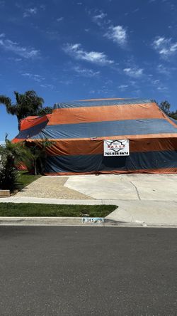 Termite Control