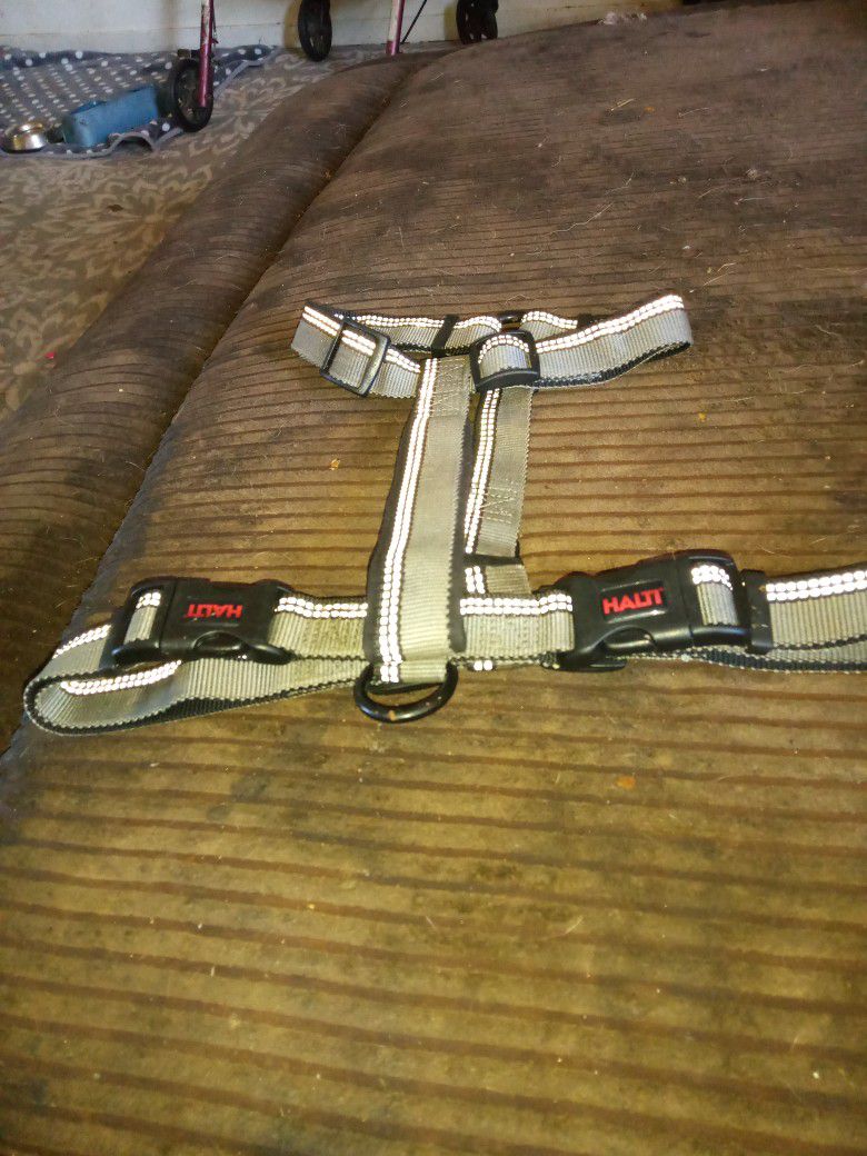 New  Harness For Big Dogs