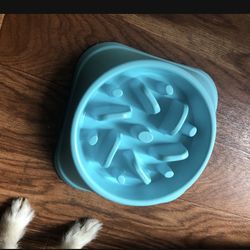 Puzzle Dog Bowl