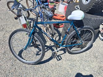 26 in Bike