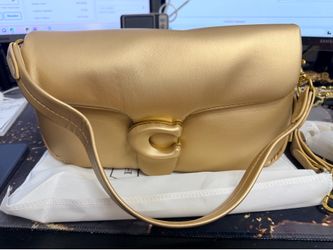 Gold coach tabby
